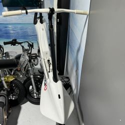 Manta Bike Foil