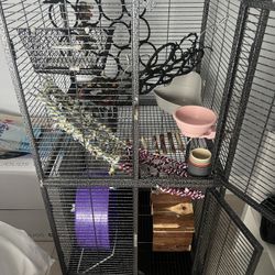 rat/small animal cage 
