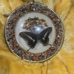 Vintage Aruba Framed Butterfly Souvenir