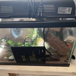 Reptile Tank  And Lights 