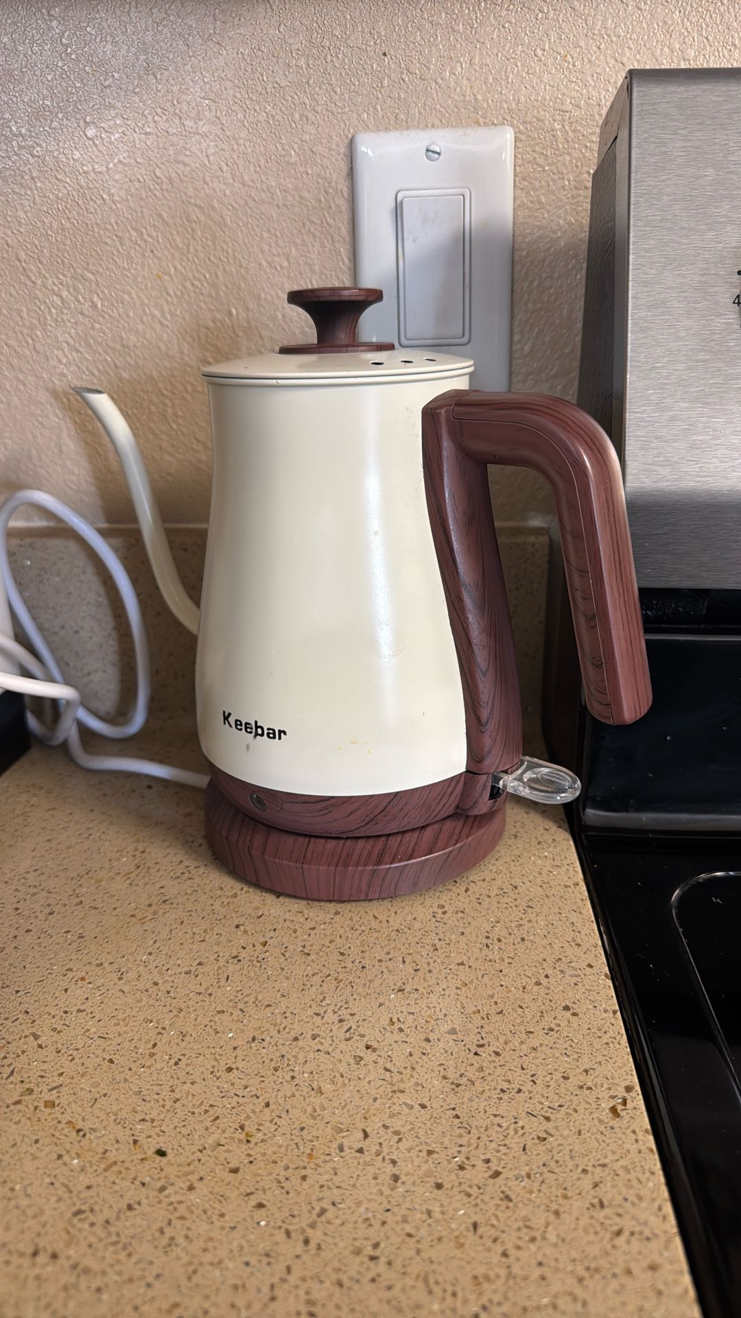 Electric Kettle 