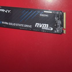 PNY 2TB CS2241 PCIe 4.0 M.2 Internal SSD