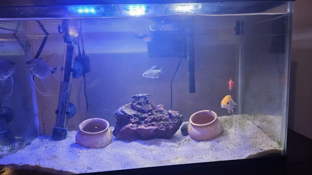 New Fish Tank With Supplies And Fish