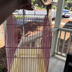 Small Bird Cages , 