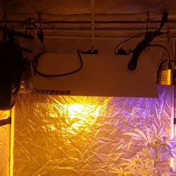 Indoor “tomatoe” Grow Tent