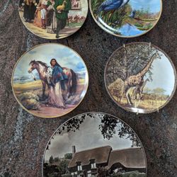 excellent Condition decorative/ collectables plates   Each $10