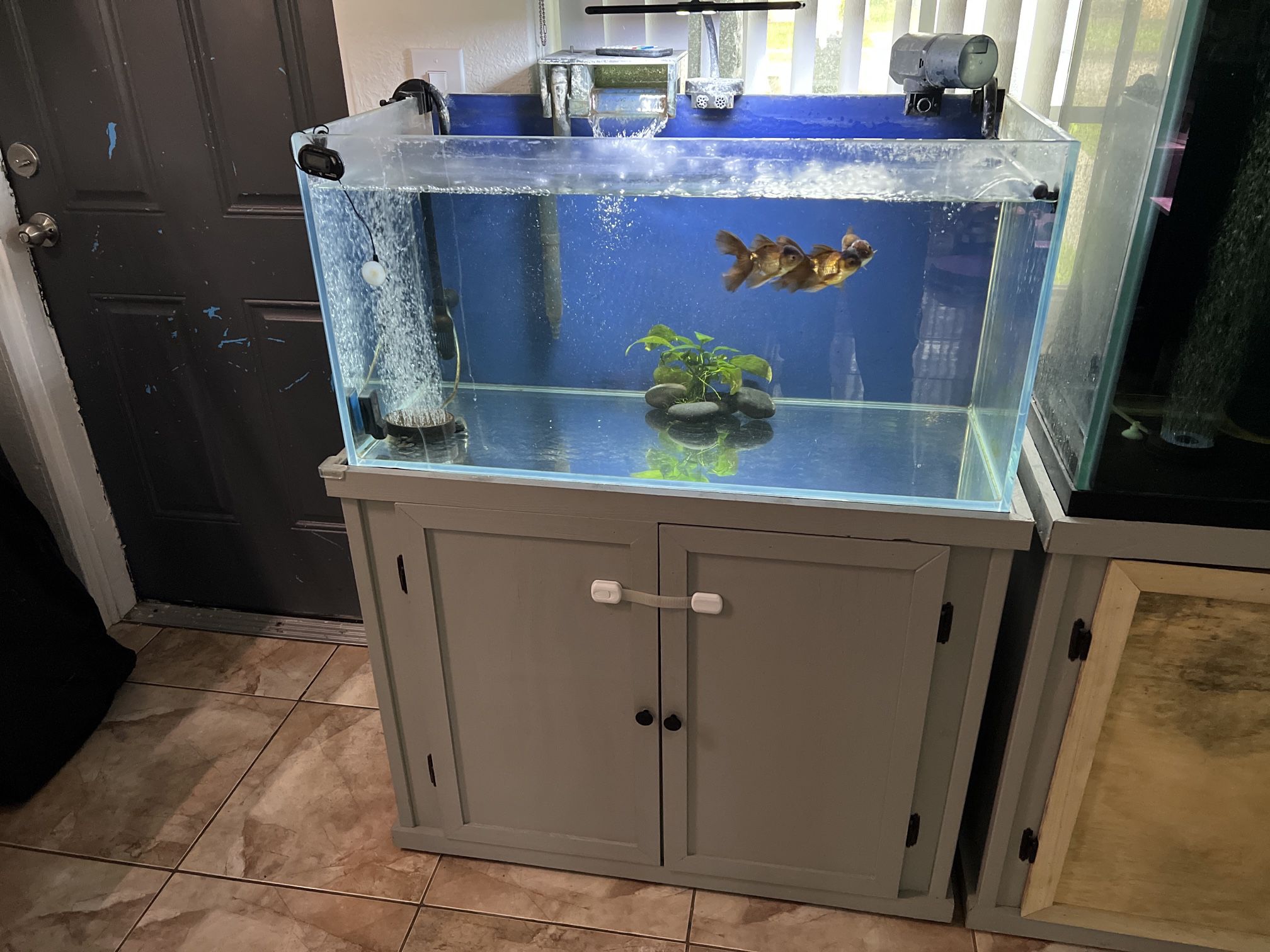 Fish Tank 45 Gallons With Stand 