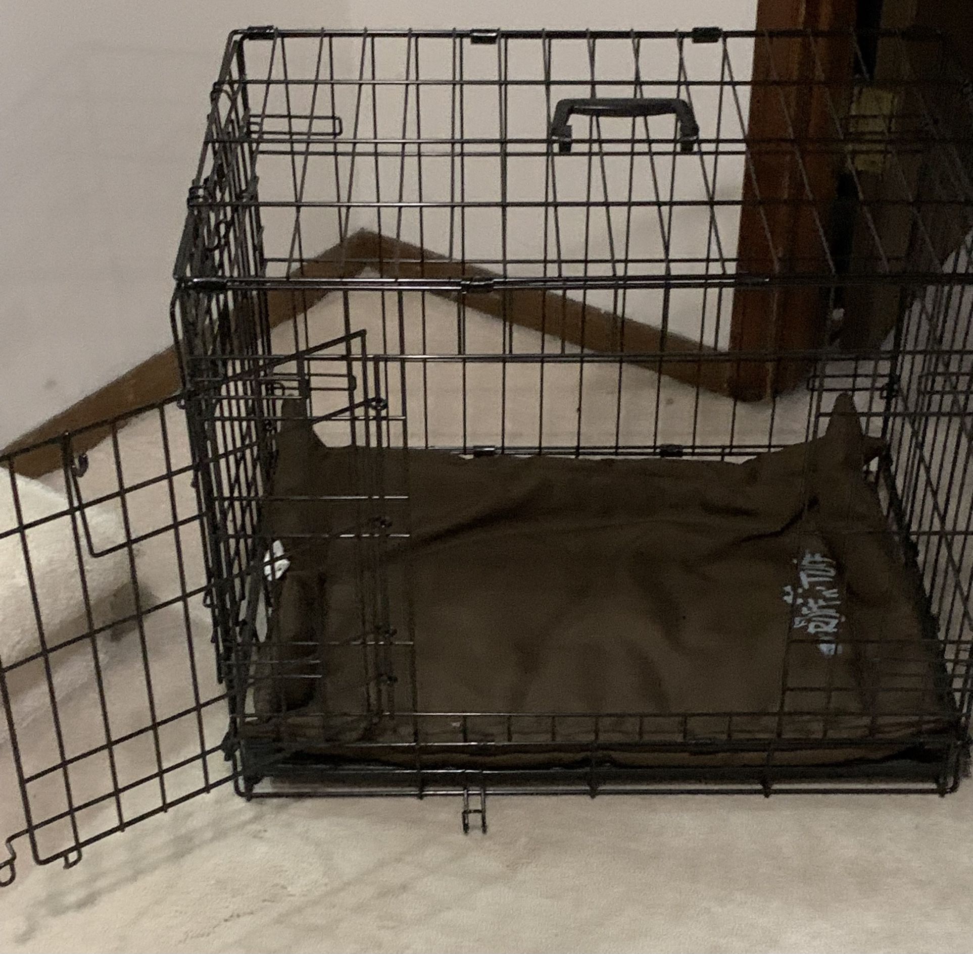 Dog Crate- Medium Collapsible