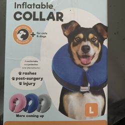 Collar Recover Dog