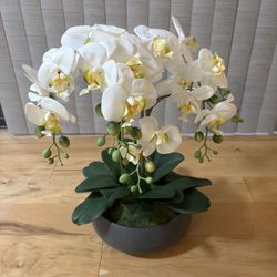Orchid Floral Arrangement - $40 obo