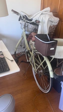 bike with basket womens