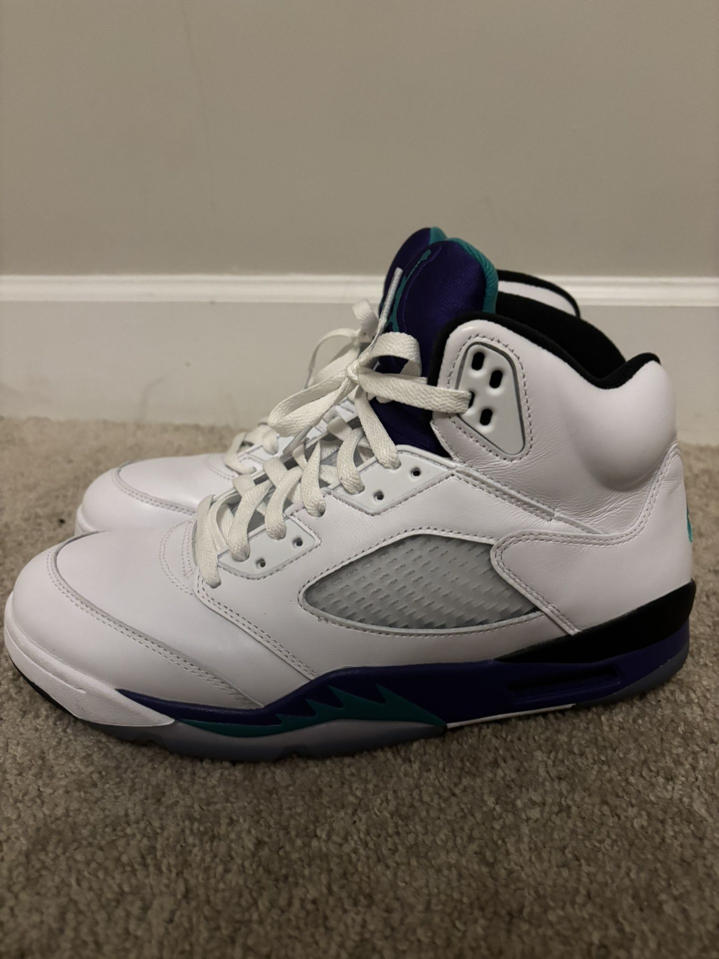 Jordan 5 Retro Grape M 10.5
