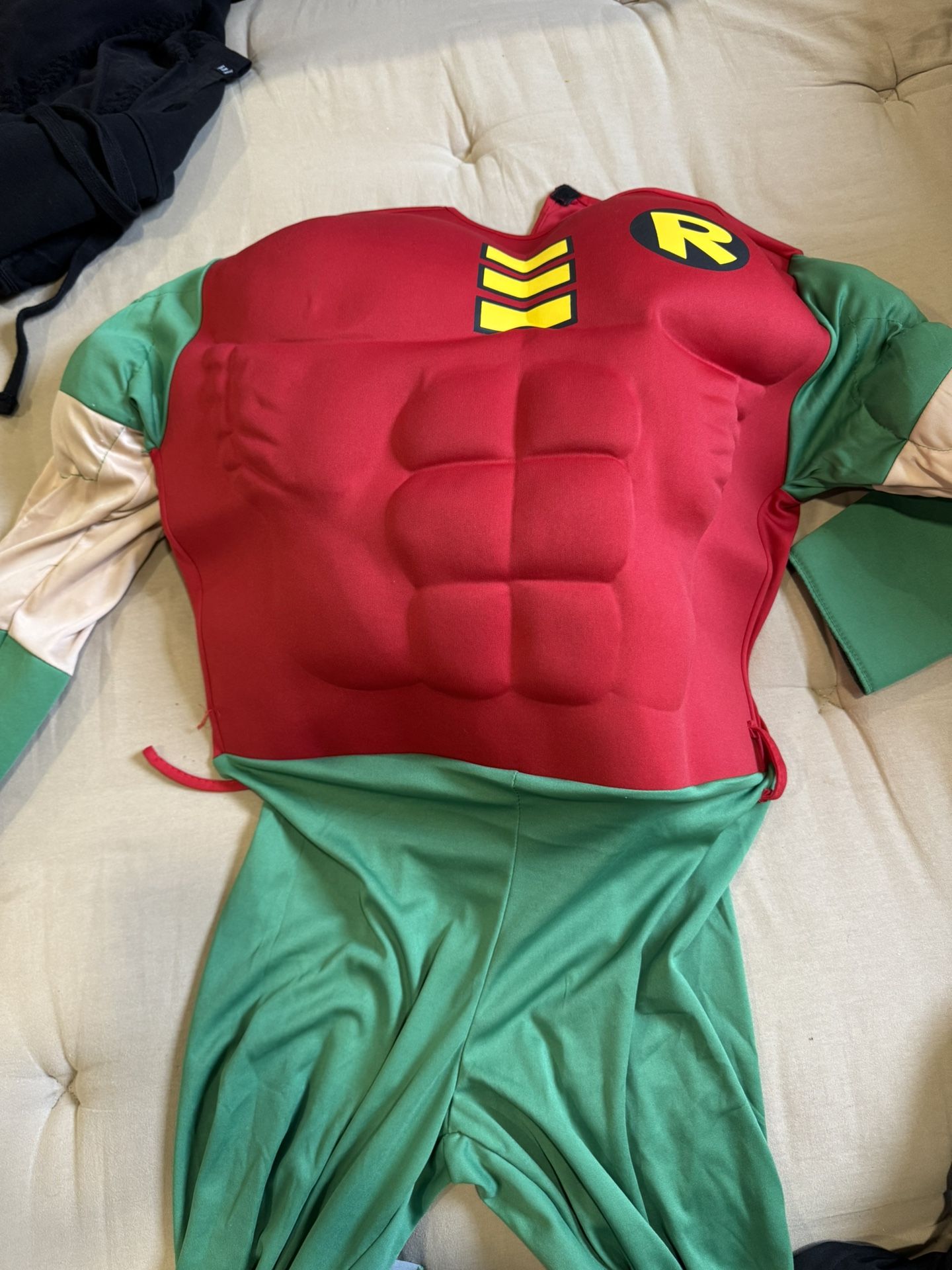 Robin Costume