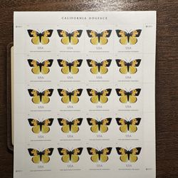 50 Sheets Mint Never Hinged California Dogface Butterfly