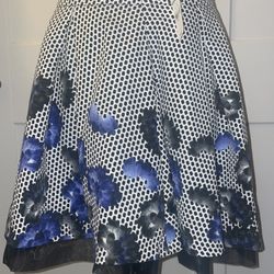 Express Mini Skirt New With Tags Size 2
