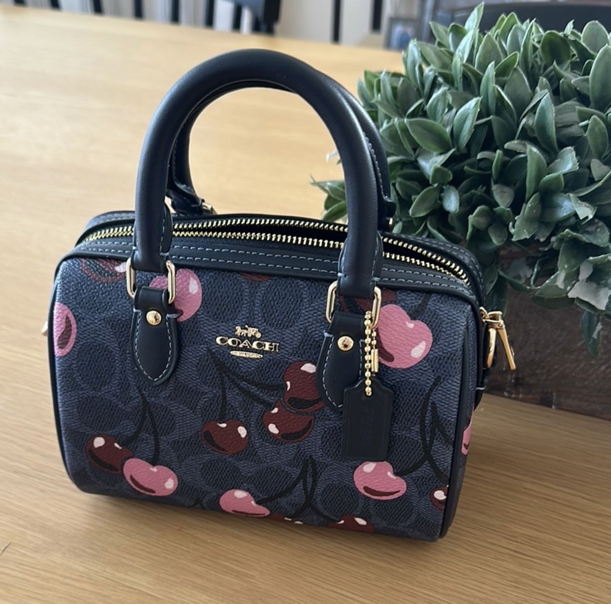 Mini Rowan Coach Bag
