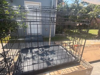Dog or cat house
