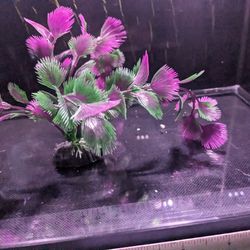Aquarium Decor Plant 