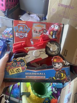 Paw patrol car 