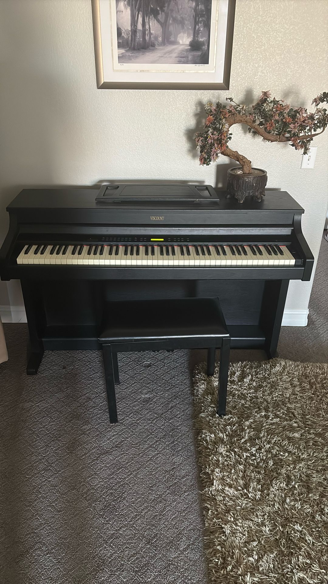 Viscount Opera Piano