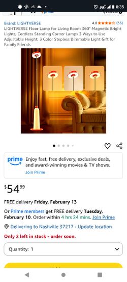 Floor Lamp For Living Room, New