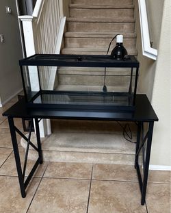Terrarium with black desk