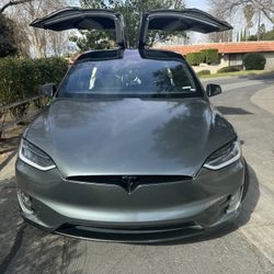 Model X P100d