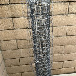 Garden Support For Climbing Plants