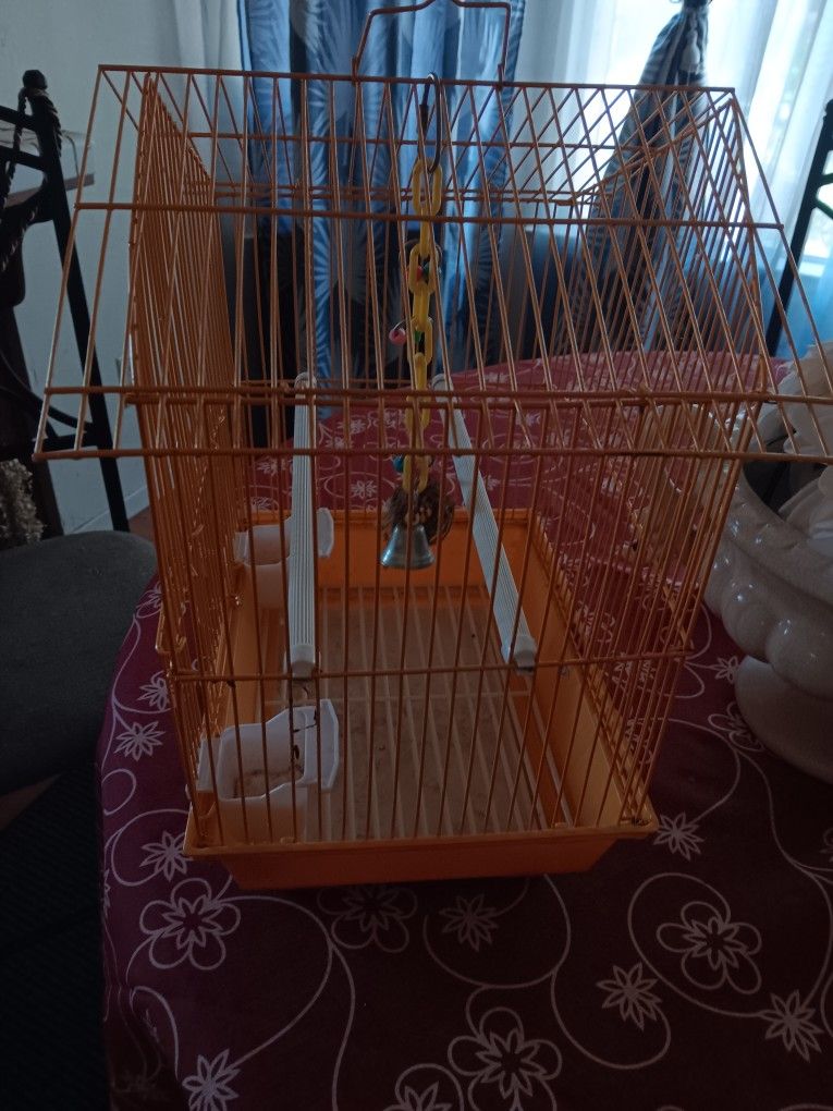 Bird Cage