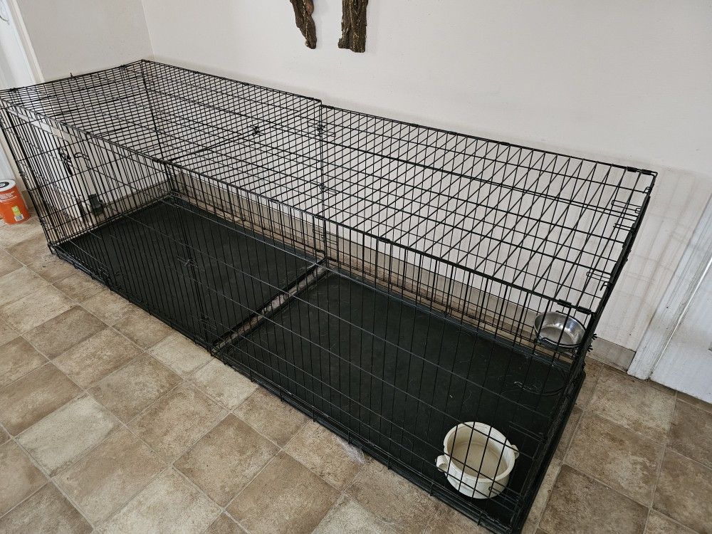 Large Dog Kennel
