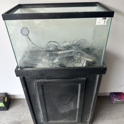 20 Gallon Aquarium And Stand 