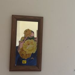 Mirror Painting 
