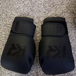 Kickboxing Gloves