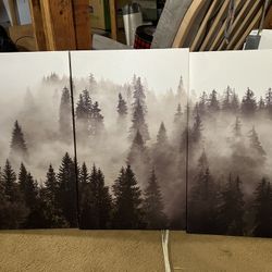3 Piece Wall Art 
