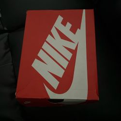 Kids Nike Shoe