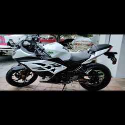 2017 KAWSAKI NINJA 300 