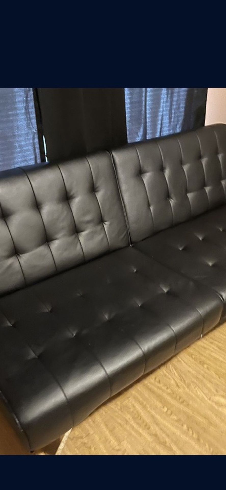 Leather Sofa Futon
