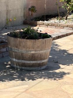3 Wine Barrels with Plants/Vine