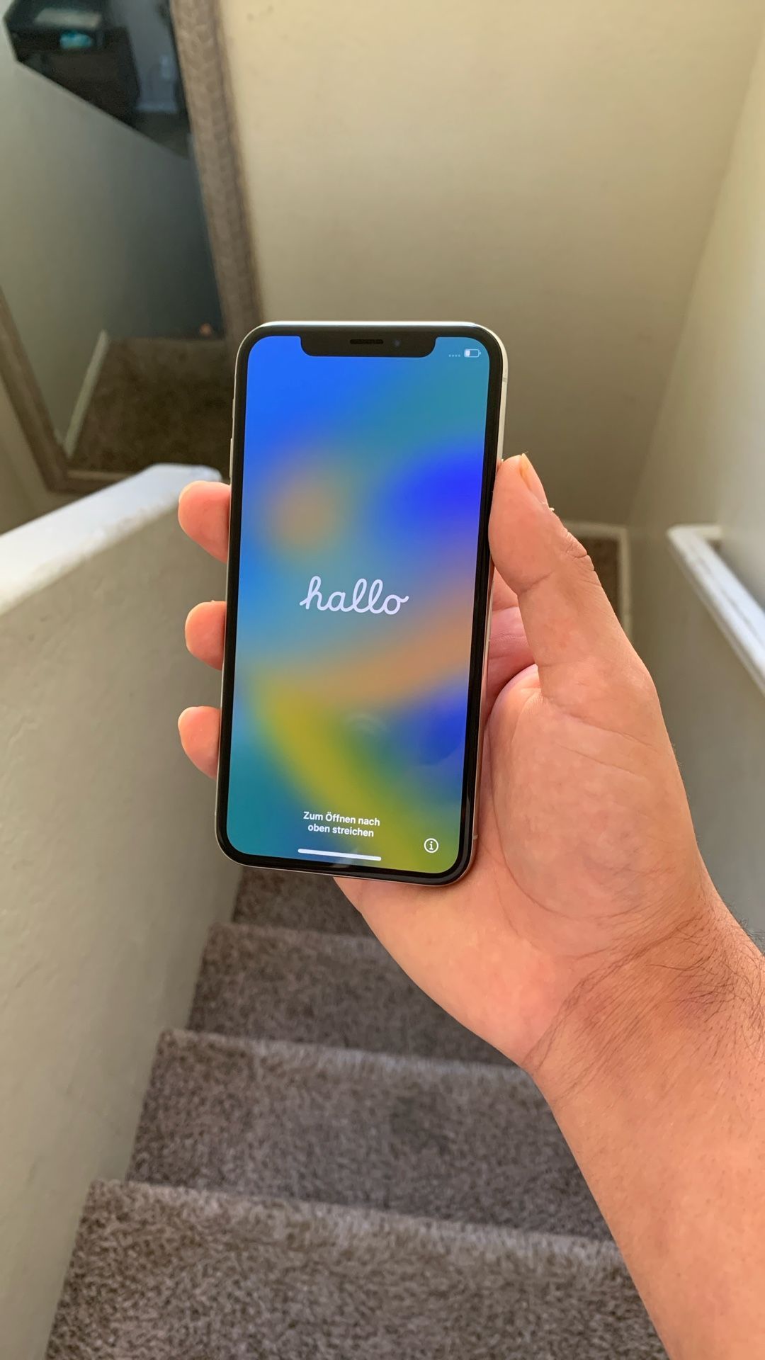 iPhone X