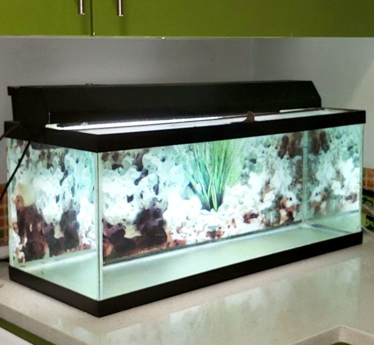 20 Gallon Long Aquarium/ Fish Tank With Lid & Light - READ AD