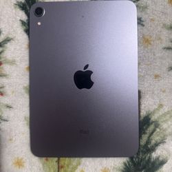 Purple iPad Mini 6th Gen 