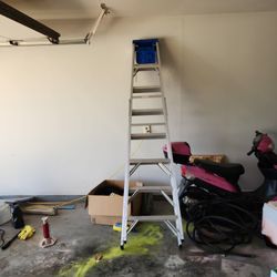 Werner. Silver Ladder 