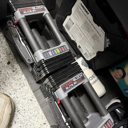 Powerblocks Weights 