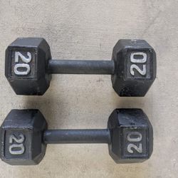 20 Pound Weights 