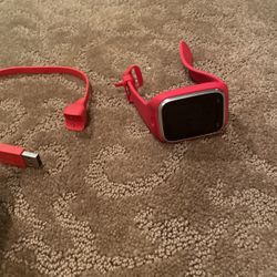 Gizmo Gadget Fitbit