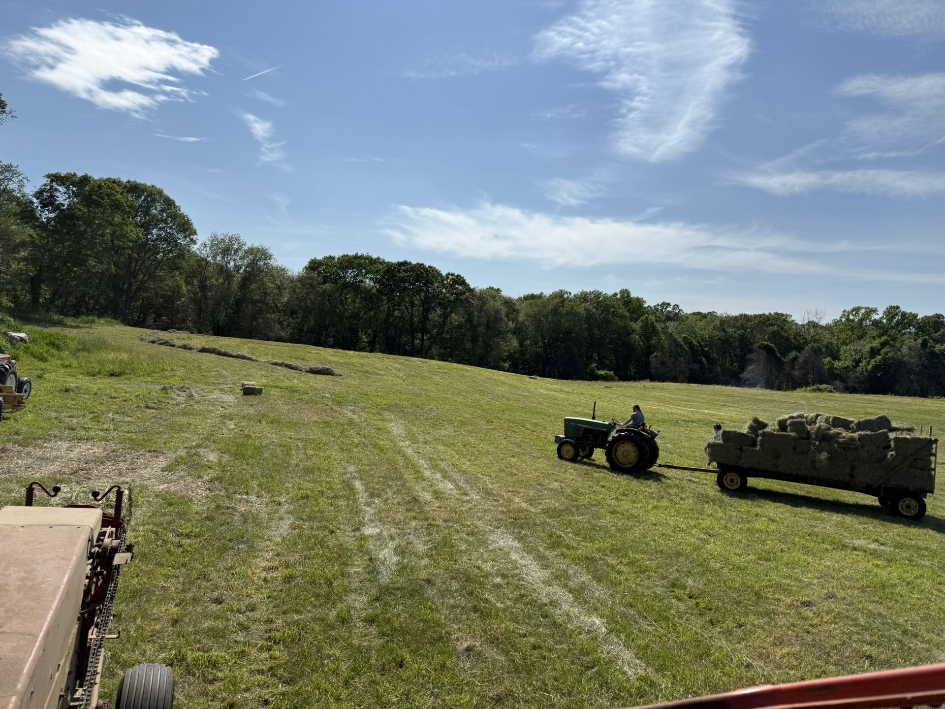 1 Cut 2025 Timothy Orchard Mix