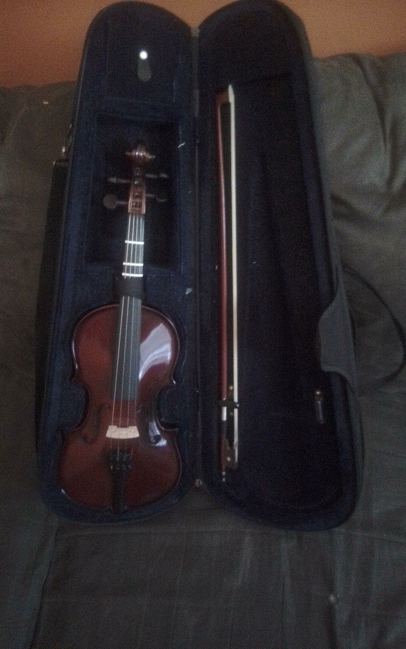 Violin