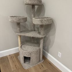 Brand New Cat Tree
