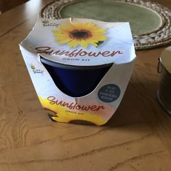 Sunflower Complete Grow Kit