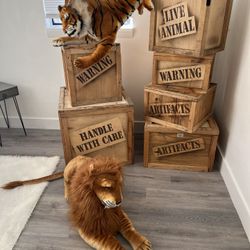 Safari Party Decorate  Event  $10